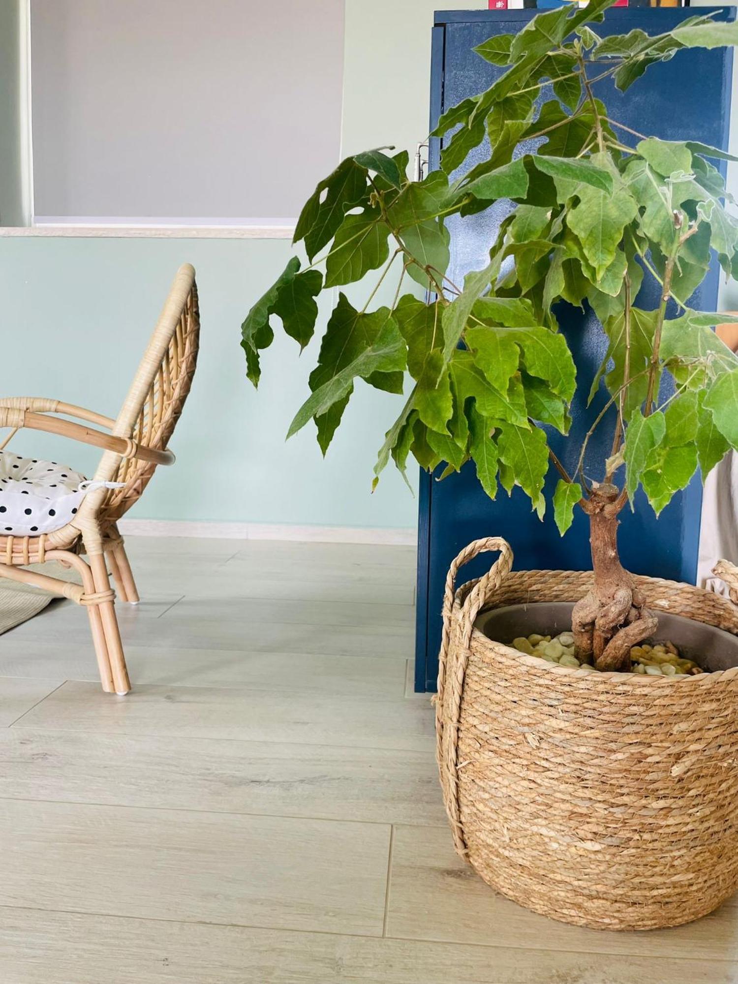 Ferienwohnung בין הר ובין ים Avnat Exterior foto